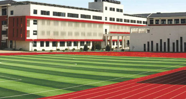 1656921941229070.jpg 1656921941229070.jpg